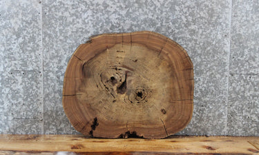 Circle Cut Live Edge Elm Tree Slice, Wood Slab 6392